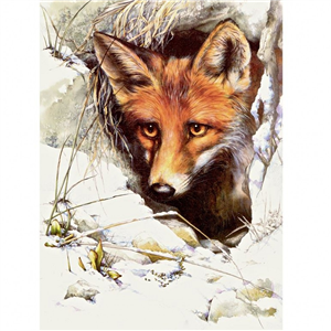 Elaine Franks Artwork - 'Winter Fox Watching' - Signed Limited Edition Print